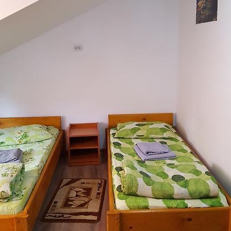 Casa Borcean Villa Sasca Montană Dış mekan fotoğraf