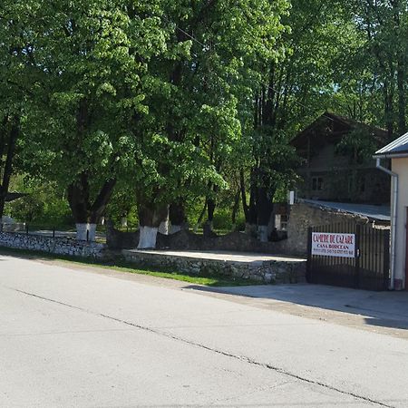 Casa Borcean Villa Sasca Montană Dış mekan fotoğraf