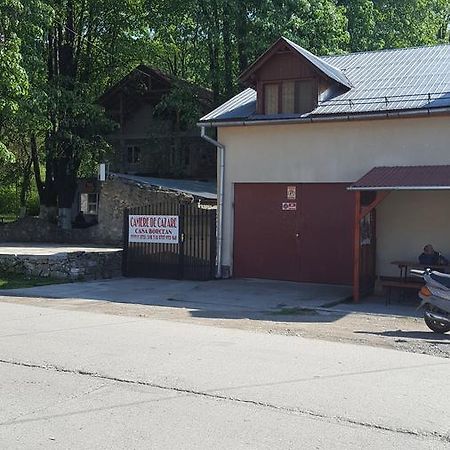 Casa Borcean Villa Sasca Montană Dış mekan fotoğraf