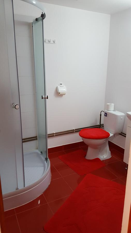 Casa Borcean Villa Sasca Montană Dış mekan fotoğraf