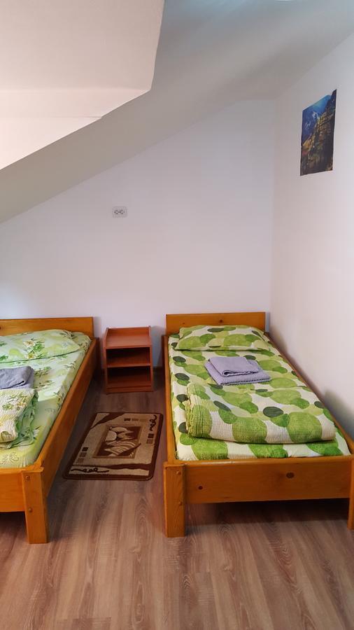 Casa Borcean Villa Sasca Montană Dış mekan fotoğraf
