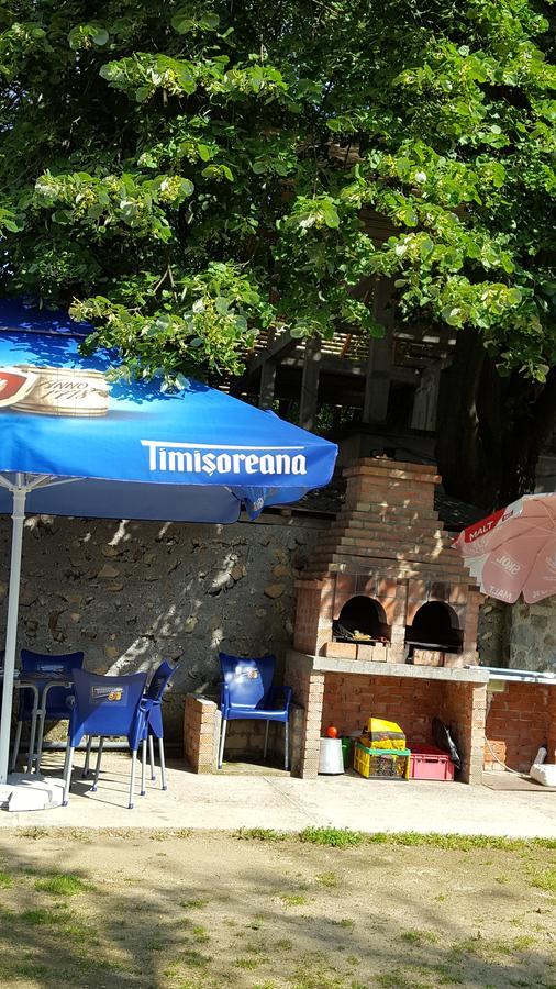 Casa Borcean Villa Sasca Montană Dış mekan fotoğraf