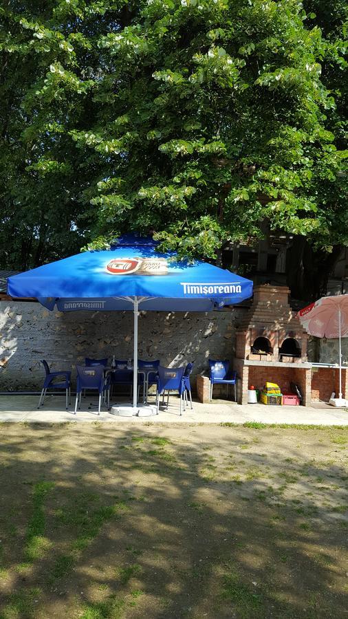 Casa Borcean Villa Sasca Montană Dış mekan fotoğraf